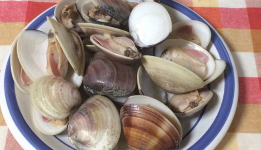 はまぐりは高級品ですが…２万円分買いました！何故ならそれは嫁さんの「大好物！」だからです。